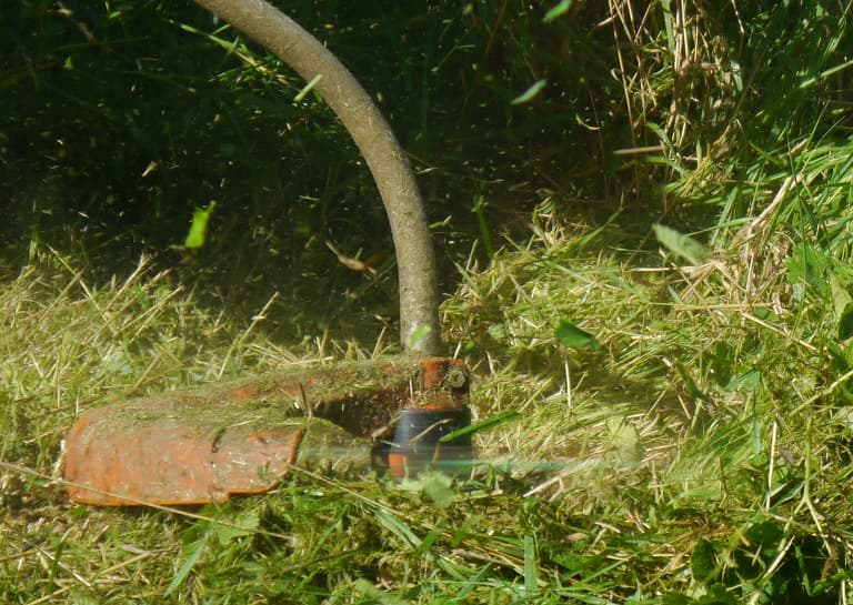 Garden Clearance Dover